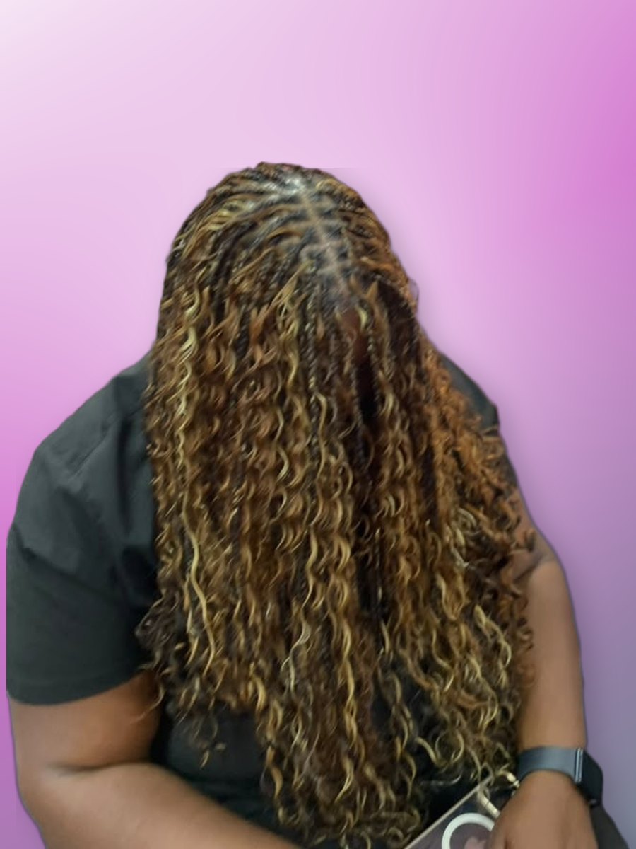 Small bohemian braids with highlights, mid-back length